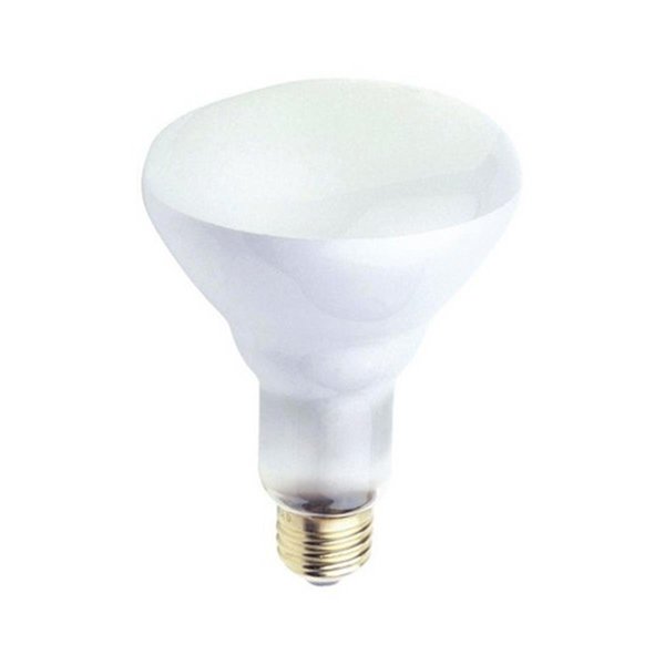 Brightbomb 05101 65 Watt Indoor Frosted Reflector Floodlight Bulb BR2516138
